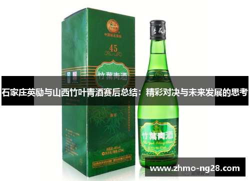 石家庄英励与山西竹叶青酒赛后总结：精彩对决与未来发展的思考
